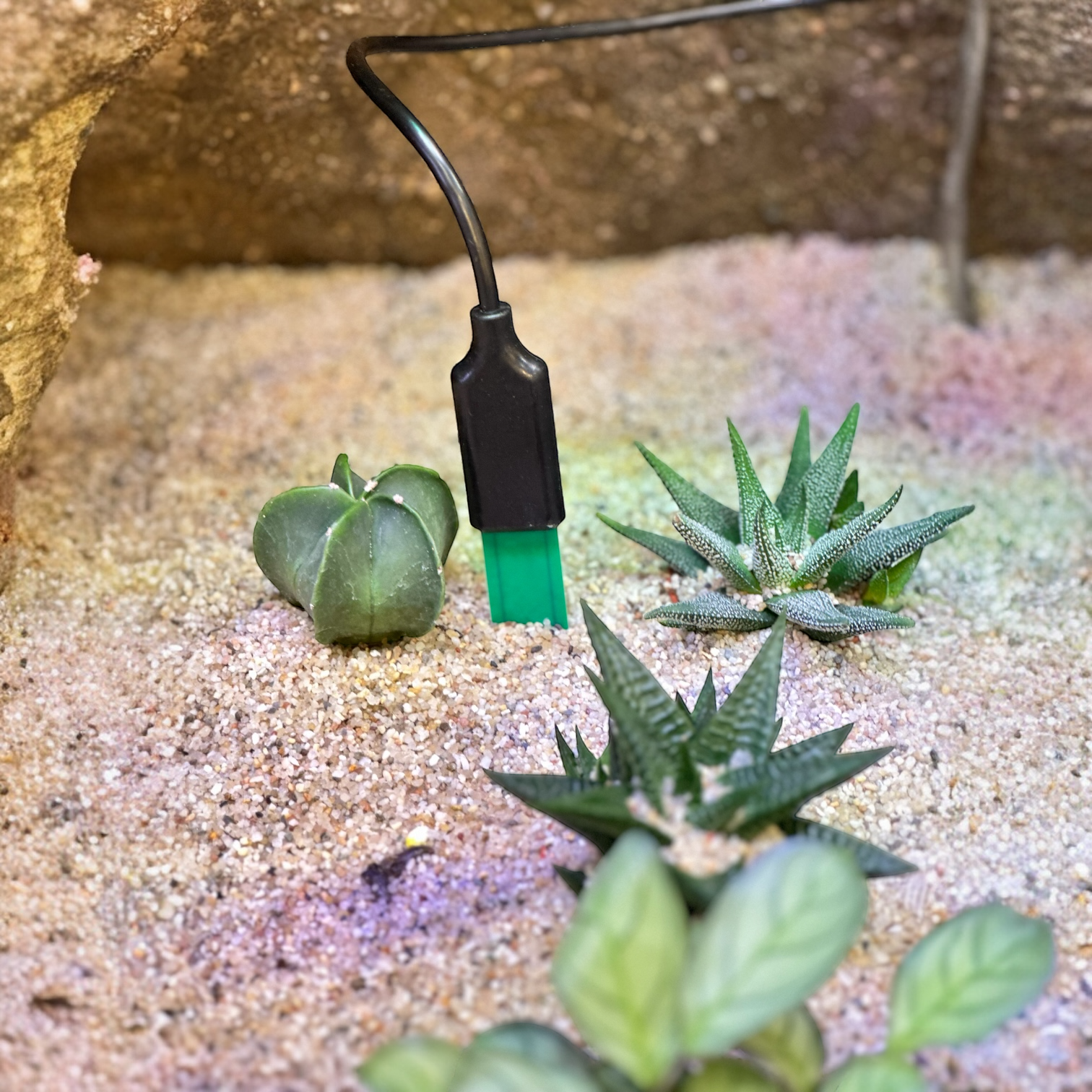 Sensorer och mätinstrument för terrarium / Smart sensor in terrarium preventing stress and illness in animals– Stockholm Reptiles