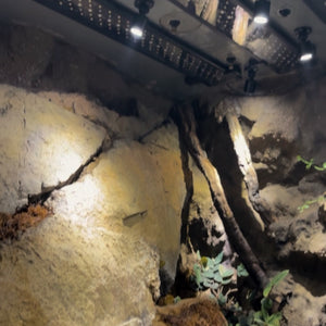 Installerade AKI USB Mini LED spotlights i terrarium, riktade för att framhäva djur och växtmiljö med tydligt, justerbart LED-ljus / Installed AKI USB Mini LED spotlights in terrarium, directed to highlight animals and plant environment with clear, adjustable LED light