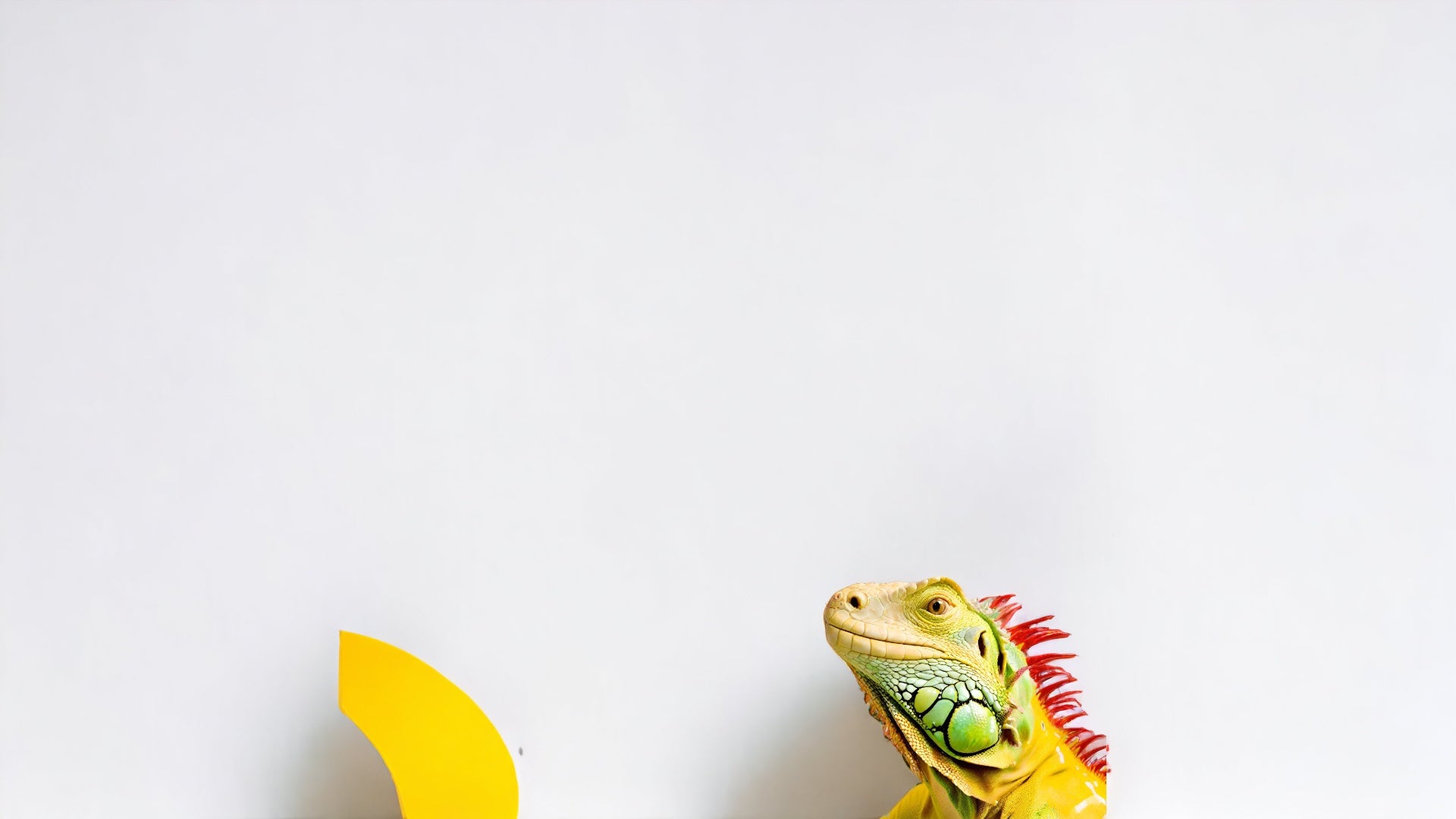 Spark your wild with Smart Vivarium Technology and Climate Control ...