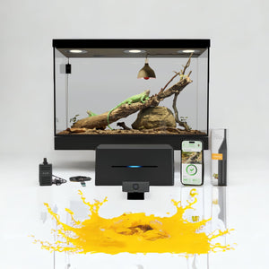 KAI Terrarium Kit