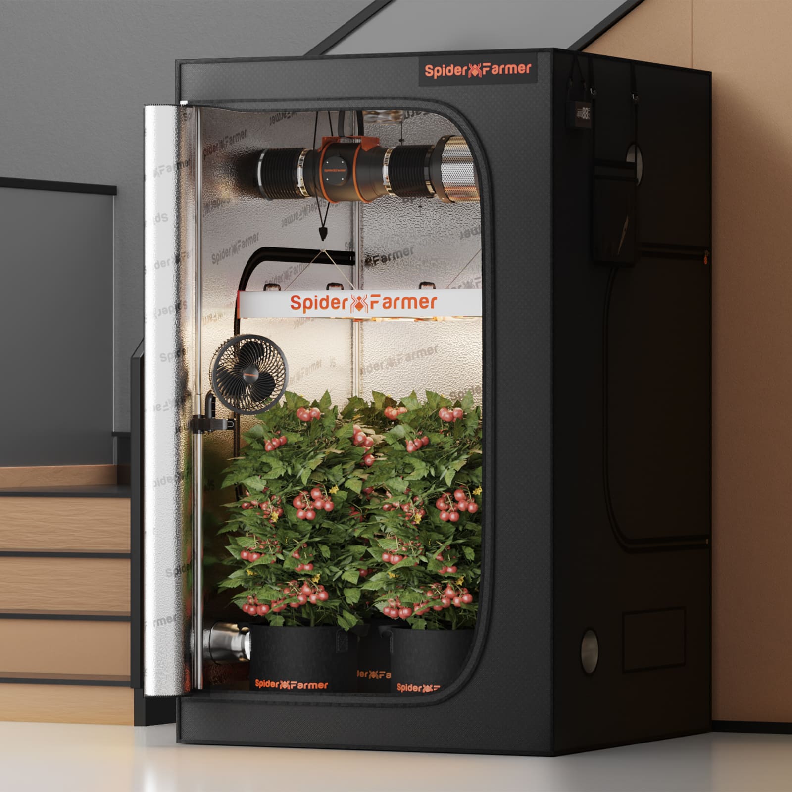 Spider Farmer growtält med 6" klämfläkt och jämn cirkulation över kronan / Spider Farmer grow tent with 6" clip fan and even canopy circulation